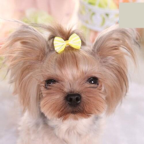 Wholesale Cute Striped Print Small Hairpin Ribbon Hair Accessories for Dog and Cat Hairpin Pet Supplies