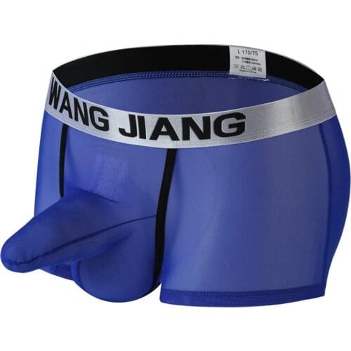 Mens Boxers Transparent Sexy Underwear Boxer Shorts Gauze See Through Panties Gay Penis Pouch Sleepwear Bottoms Man Shorts