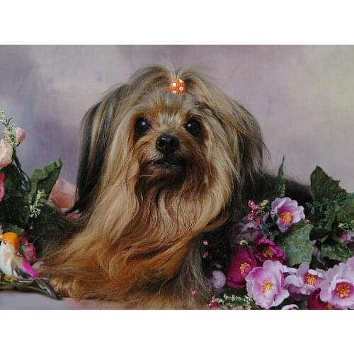 YIKEE diamond painting dog，cross stitch diamond,diamond mosaic paintings Y874