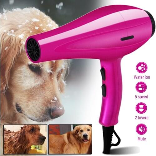 JX-LCLYL Hair Dryers For Dogs