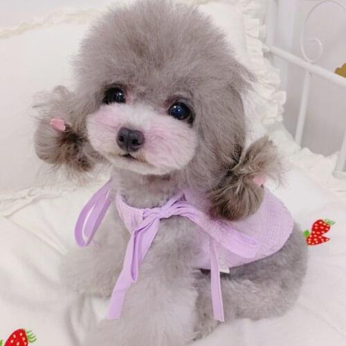 Pet Costume Dog Dress Summer Puppy Skirt Cat Chihuahua Yorkshire Clothing Poodle Bichon Pomeranian Maltese Dog Apparel Dropship