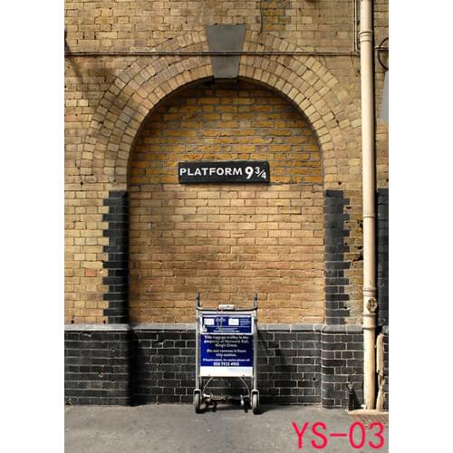 SHENGYONGBAO Art Fabric Heaven Photography Backdrops Prop Wall 9 3/4 Station Theme Photography Background YS-03