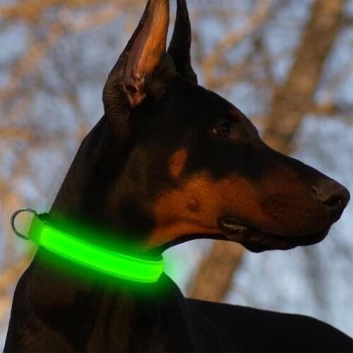 LED Dog Collar Glowing Up Anti-lost Pet Products Night Safety Collars with Batteries Pet Necklace Glow Collar for Small Dogs Cat