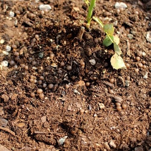 CZY DELGADO Mineral Fertilizers