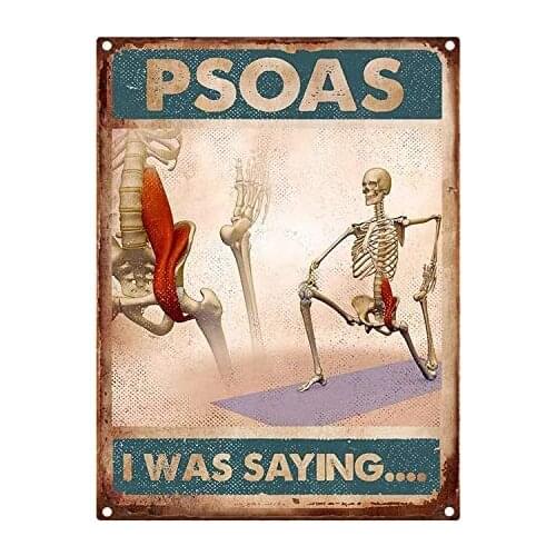Metal Plaque (skull Psoas I Was Saying) High Quality Retro Outdoor Bar Tin Sign Poster Wall Decoration Metal Plate 8x12 Inches