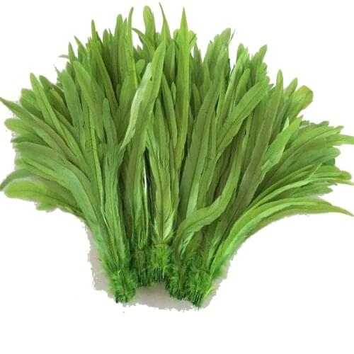 New! Wholesale 500 pc apple green rooster feathers, 35-40CM DIY jewelry decoration, art props accessories