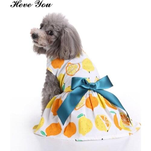 Heve You New Pet Clothes for Small Dogs Clothing Pet Party Princess Dresses Summer Bowknot Dog Dress Puppy Cat Cute Skirt XS~L
