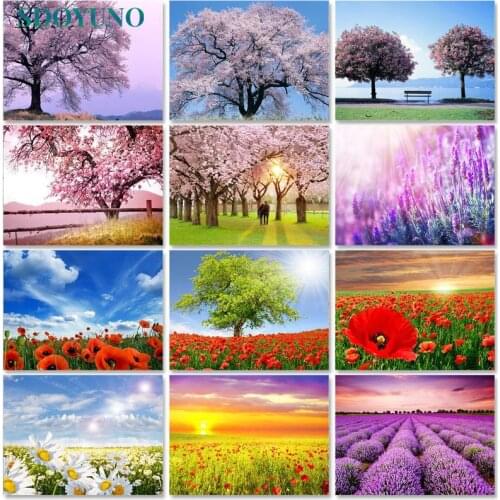 SDOYUNO Paint By Numbers Flowers Scenery Oil Painting By Numbers On Canvas 40x50cm Frameless DIY Scenery Home Decor Gift