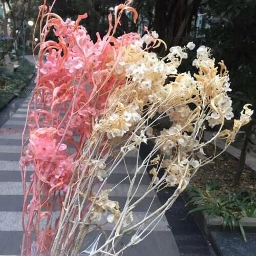 50g/20-40cm,Preserved butterfly flowers Bouquet,bleach and dye display arrange flowers for Wedding Home Decoration accessories