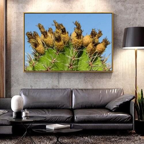 Artcozy Oil Canvas Painting cactus_plant_cyprus_ayia_napa For Home Decoration Wall Art