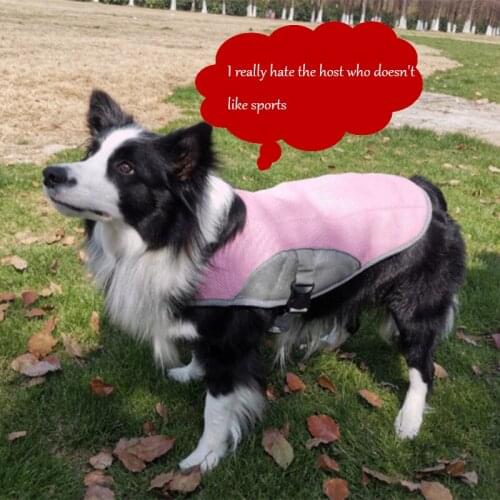 Summer dog clothes, pet clothes, cold pet vest, pet clothes, heat prevention and cooling pet dog clothes, vest
