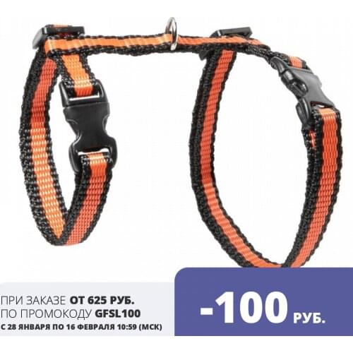 GAMMA Collars For Cats