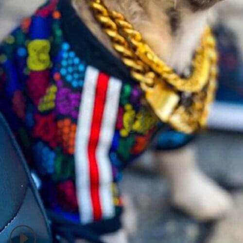 Dog Clothes Winter Warm Dog Jacket for Small Large Dogs Colorful Pet Clothing Dog Coat B1195