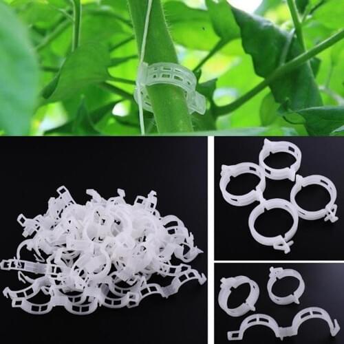 50/100/200PC Plant Support Garden Clips Trellis for Vine Vegetable Tomato to Grow Upright Garden plant stand