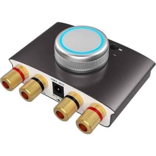 Lepy Bluetooth Amplifier, 5.0 Number Audio Power Amplifier, Stereo Digital Amp Bluetooth Input,Speaker