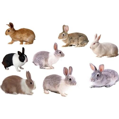 1pcs Wall Sticker For Living Room Bedroom Children Room Rabbit Decoration Wall Sticker