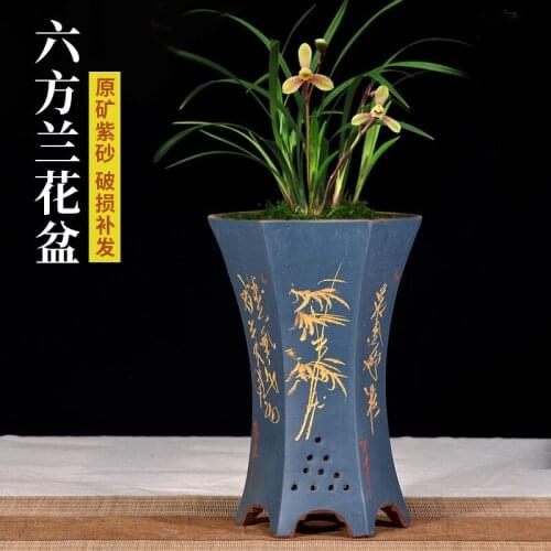 Purple Clay Orchid Pot Phalaenopsis Phnom Penh Chlorophytum Cymbidium Milan Living Room Balcony Green Plant Special Breathable