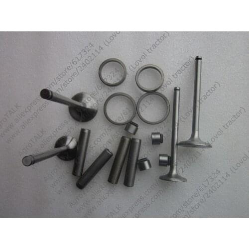Set of valve group: valves, seals, valve seats,valve guide as regular supply for Xinxiang TY290X TY295X engine