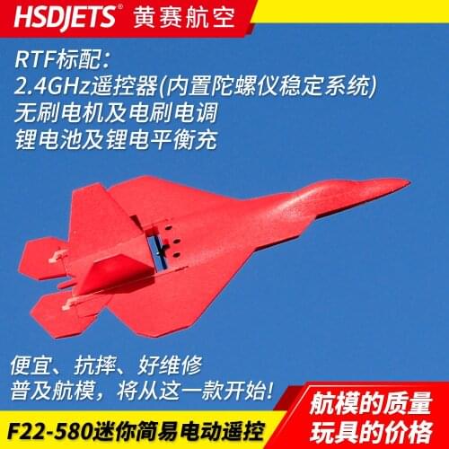 HSD Jets EPP RC Airplane Slow Flyer F22 580 RTF without Battery