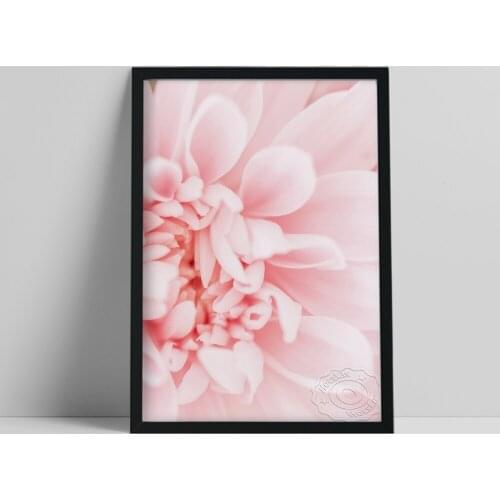 Delicate Blooming Elegant Baby Pink Flower Poster, Lovely Glamorous Floral Botanical Design Art Print, Beauty Nature Plant Decor