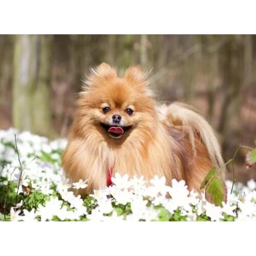 DIY Wall Art Decor Frameless Painting with Diamond Embroidery Full Square Drill Mosaic Rhinestone Cross Stitch Kid Handmade Gift