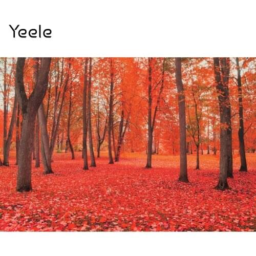 Yeele Autumn Scene Photocall Photography Backdrop Red Maple Forest Baby Birthday Portrait Background Photo Studio Photographic