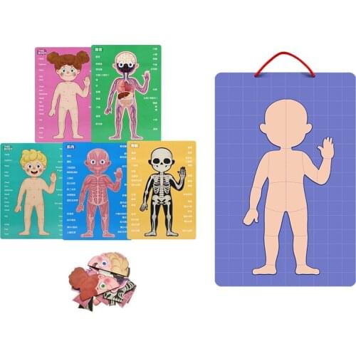 Wooden My Body Puzzle for Toddlers & Kids - 89 Piece Kids Anatomy Play Set, Magnetic Pieces