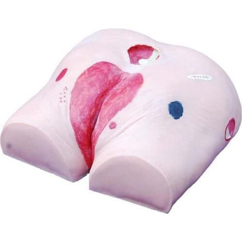 Medical Advanced Decubitus Ulcer Care Training Model