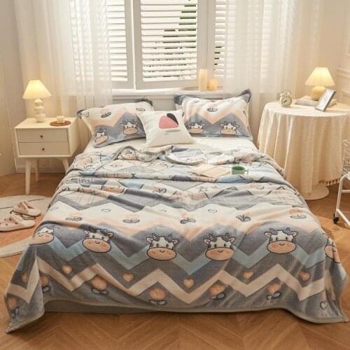 Bonenjoy Fleece Blankets On The Sofa