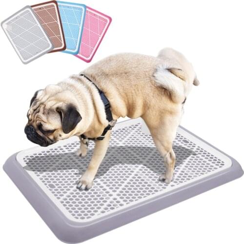 Didog Accessories For Cats