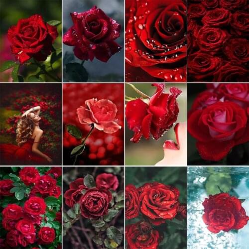 Full Square/Round Drill 5D DIY Diamond Painting Red Rose Flower Diamond Embroidery Mosaic Cross Stitch Kit Home Decoration Gift