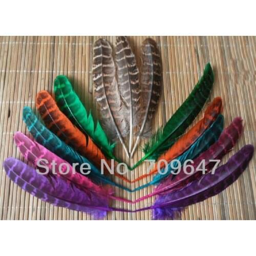 Feathers!Plumas! 200Pcs/Lot 12-15cm MIXED DYED BEAUTIFUL Ringneck Hen Pheasant Wings FEATHERS,Ringneck Pheasant Feathers