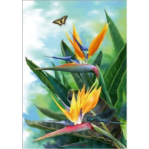 Counted Cross Stitch Kits Needlework Embroidery - 14 ct Aida DMC Color DIY Arts Handmade Home Decor - Bird of Paradise 1