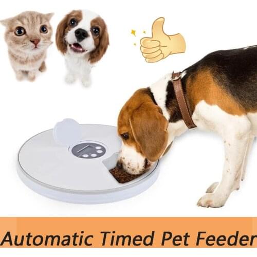 Pet Automatic Timing Feeder Dog Food Container Cat Food Puppy Training Bowl Split Meal Pets Products Large Dogaccessories Stuff
