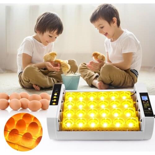 24 Eggs LED High-efficiency Automatic Egg Incubator With Temperature Control Function, Automatic Turning, Temperature Control