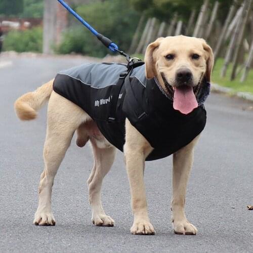 Waterproof Windproof Big Dog Clothes Cotton Warm High Collar Reflective Strip Pet Supplies With Removable Harness