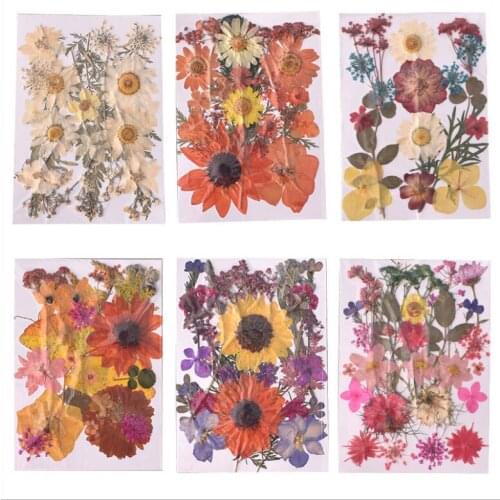 DIY Dried Flowers Resin Mold Fillings UV Expoxy Flower for Nail Art Pressed Flowers for Home Decor Handicraft