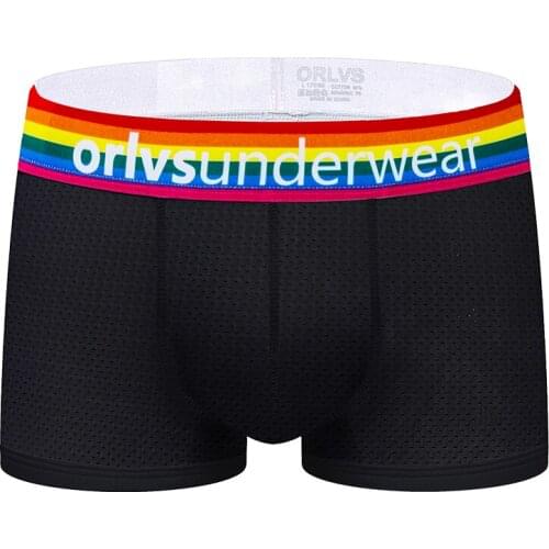 New Fashion Underpants Men Briefs Mesh Sexy Underwear Male Panties Comfortable Men Briefs Low-Waist Sexy Gay Shorts