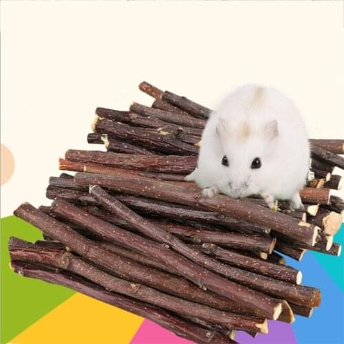 Professional Hamster Rabbit Teeth Grinding Apple Tree Stick Minerals Molar Stone Toys for Chinchilla Hamster Small AnimalsToys