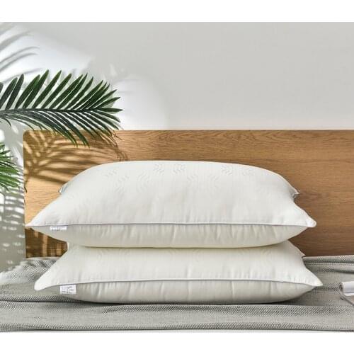 Mulberry Silk Pillows 48*74Cm Natural Silk Filling Jacquard Anti Mite Soft Fluffy Hotel Neck Sleeping Bedding Pillows