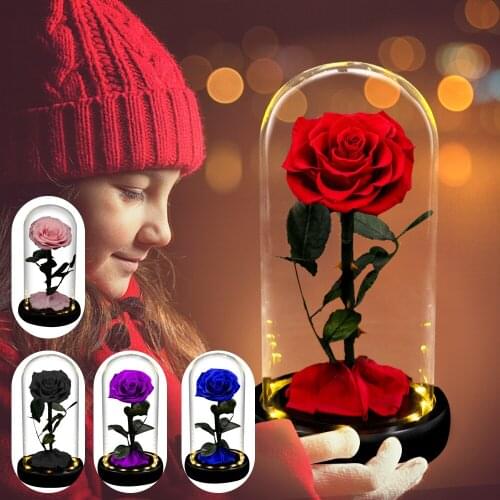 Eternal Rose Beauty and The Beast Rose Everlasting Artificial Flowers NIght Light In Glass Dome Mothers Day Gift Wedding Gift