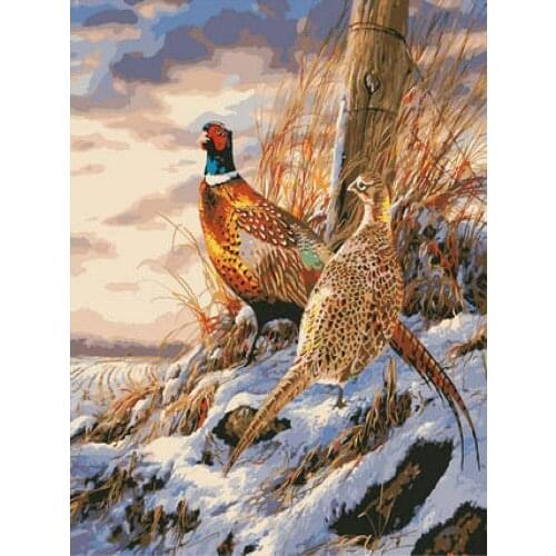 Strange bird DIY diamond painting diamond embroidery cross stitch Rhinestone Mosaic painting hall hanging murals