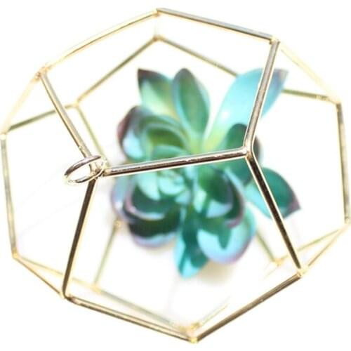 5 Packs Air Plant Holder Metal Himmeli Decor Modern Geometric Planter Hanging Airplants Rack Tillandsia Hanger Stand
