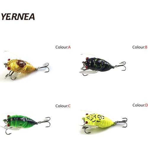 Easytoday Cicadas