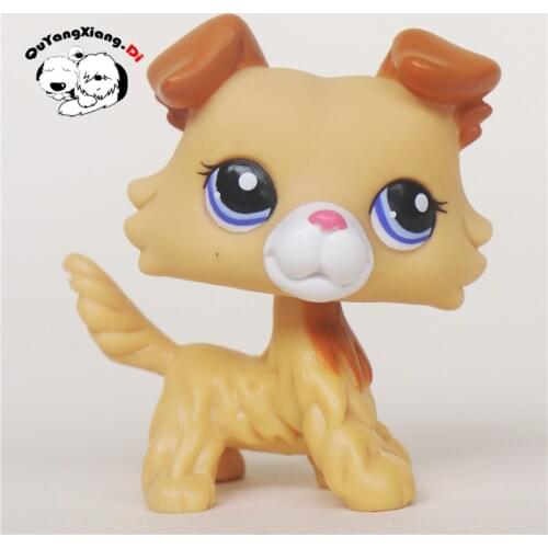 CWG008 Pet Shop Animal Brown Collie Dog Puppy Blue Eyes doll action Figure cute puppy