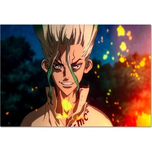 New Arrival Custom Dr Stone Poster Home Decoration Fashion Silk Fabric Wall Poster Customize Poster 27X40cm30X45cm