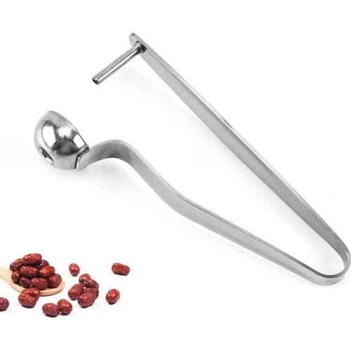 Stainless Steel Cherry Pitters Long Handle Fruit Corer Seed Remover For Jujube Hawthorn Fruit & Vegetable Tool Cherry Corer