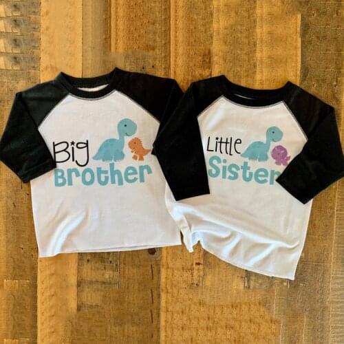 Dinosaur Bis Sister Big Brother TShirt Brothers Sisters Family Tee Boys Girls Unisex Raglan Tops Tees Children Family Shirts