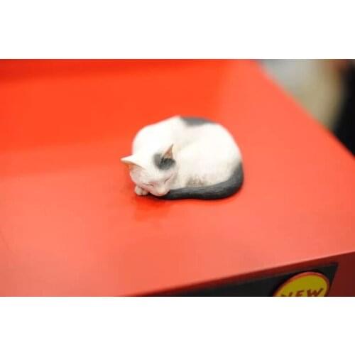Unpainted Sleeping Cat GK Resin Figure unknown Scale Model Kit Self-Assembled Colorless Figures Resin Kit