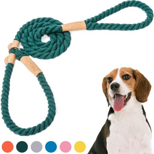 Dog Leash Outdoor Training Leashes Rope Collar 2 In 1 Adjustable Collar Lead Small Meidum Large Dog Running Leash Dog Collars
